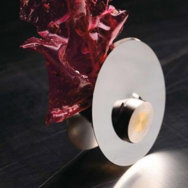 crucial-detail/01-16-00