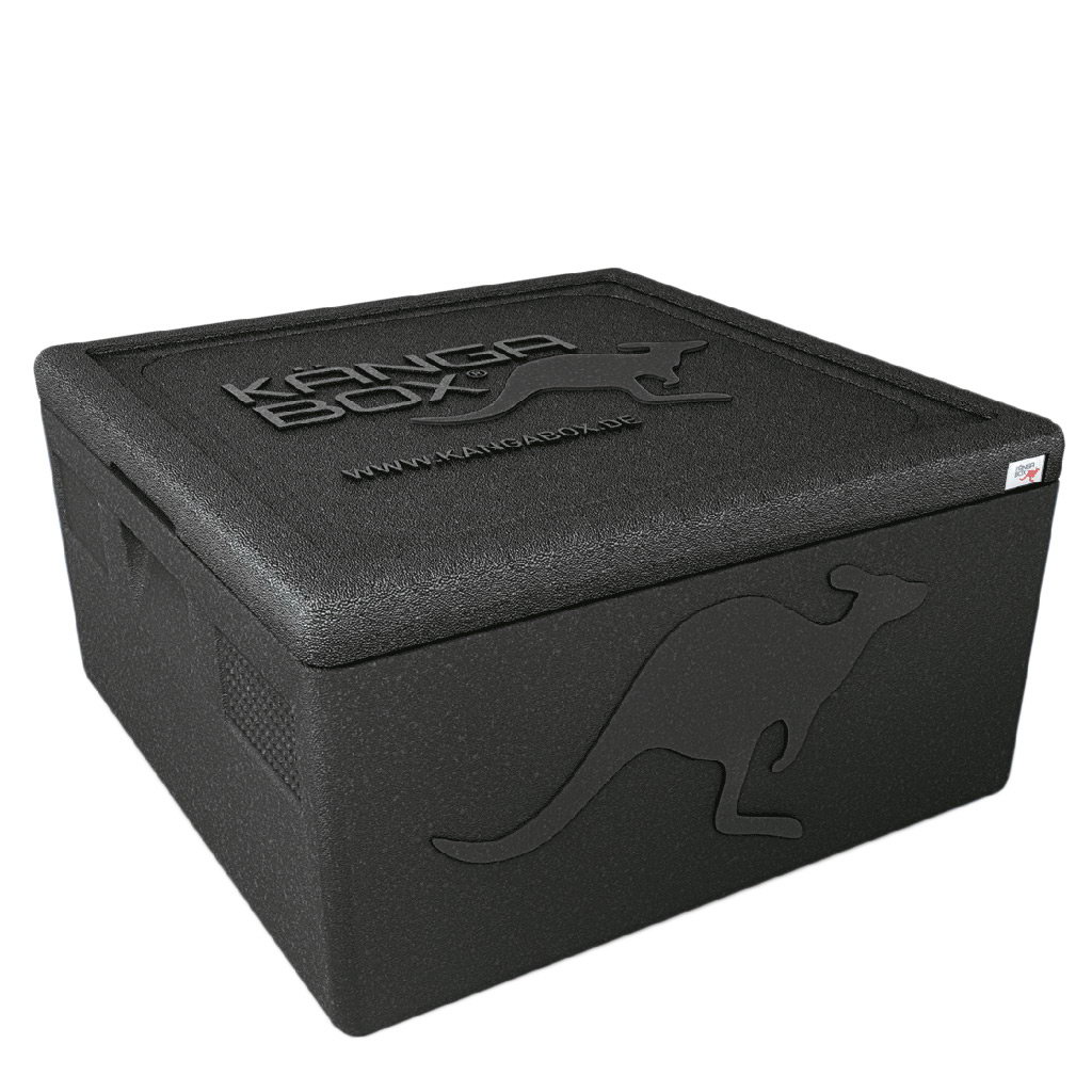 Kängabox termobox Easy S 32l černá