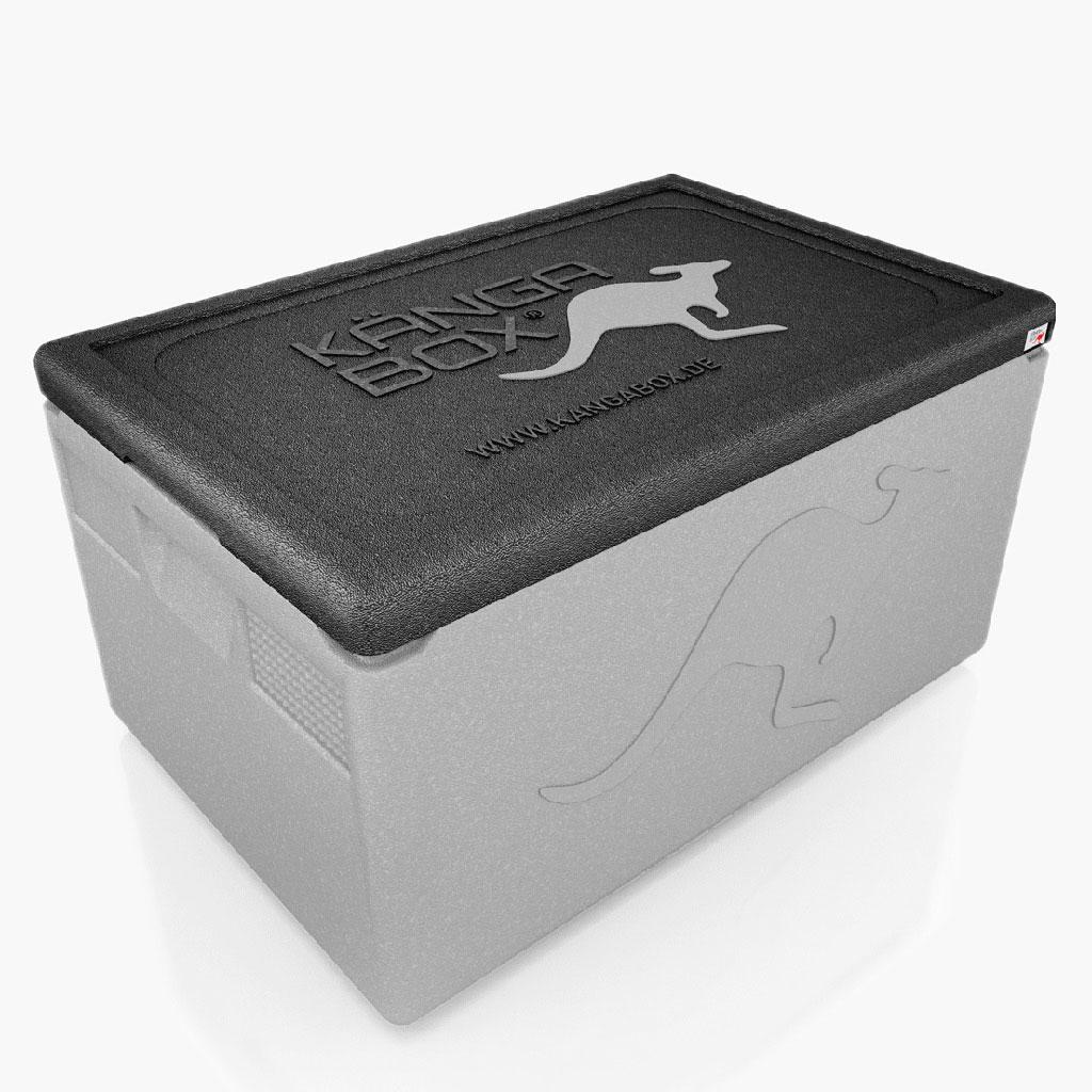 Kängabox termobox Professional GN1/1 48l stříbrná
