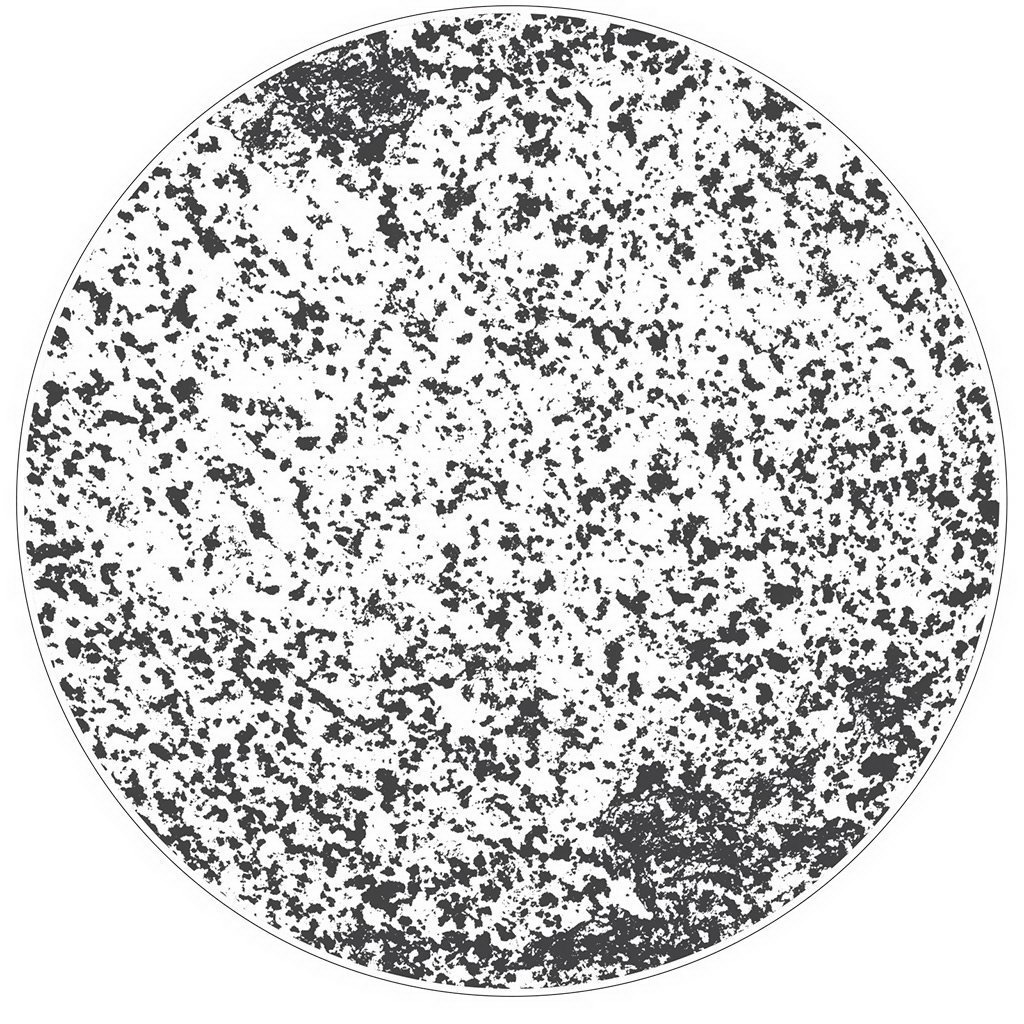 Figgjo Verde Stein Negative černý talíř ø30cm