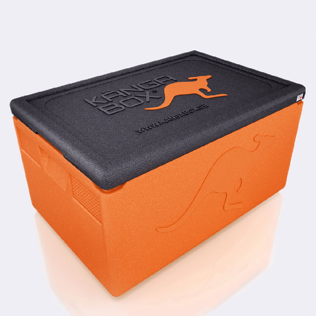 Kängabox termobox Professional GN1/1 48l oranžová